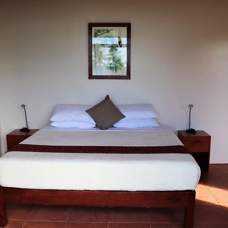 Island View Beachfront Resort Anda  Extérieur photo