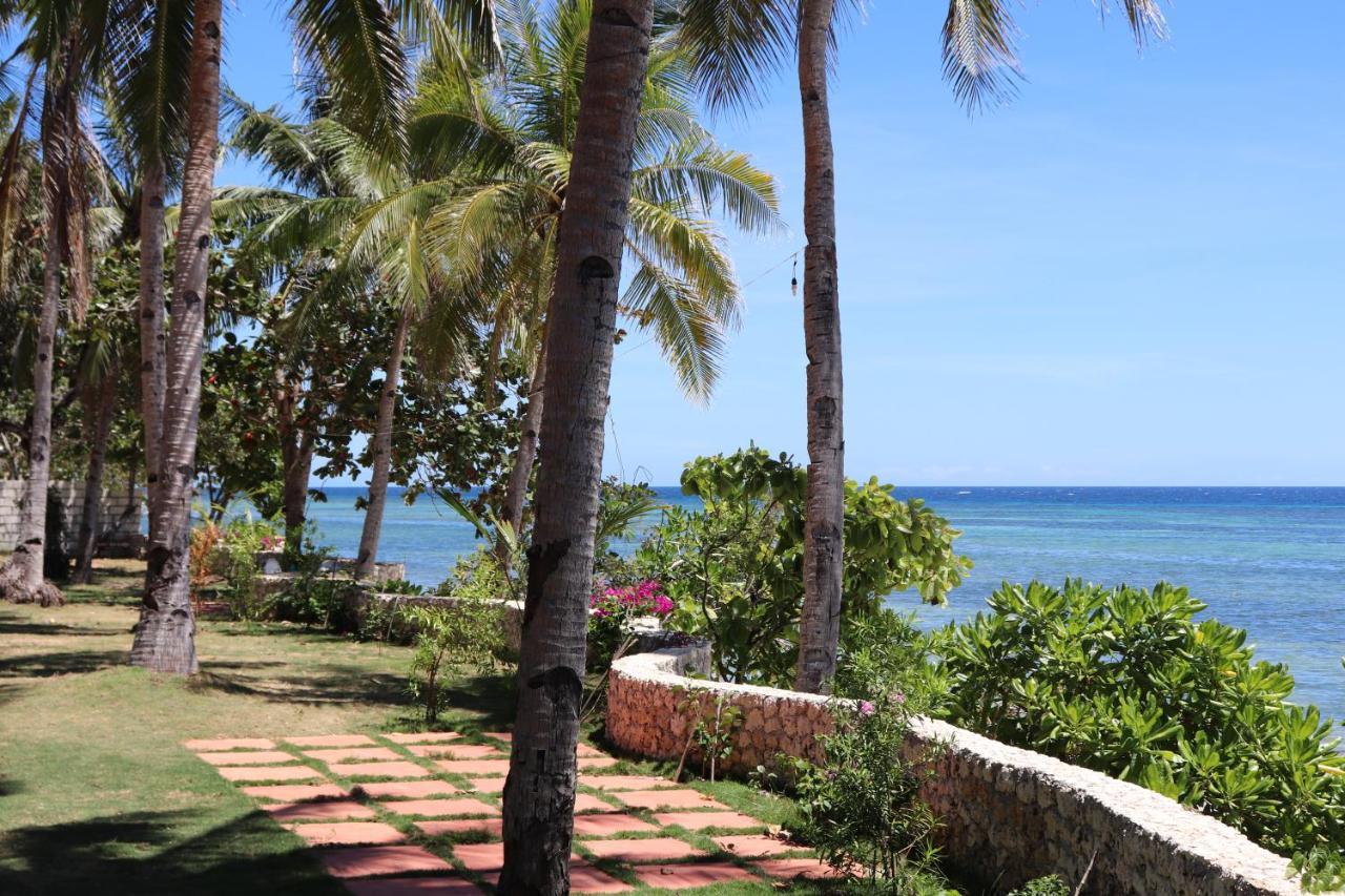 Island View Beachfront Resort Anda  Extérieur photo