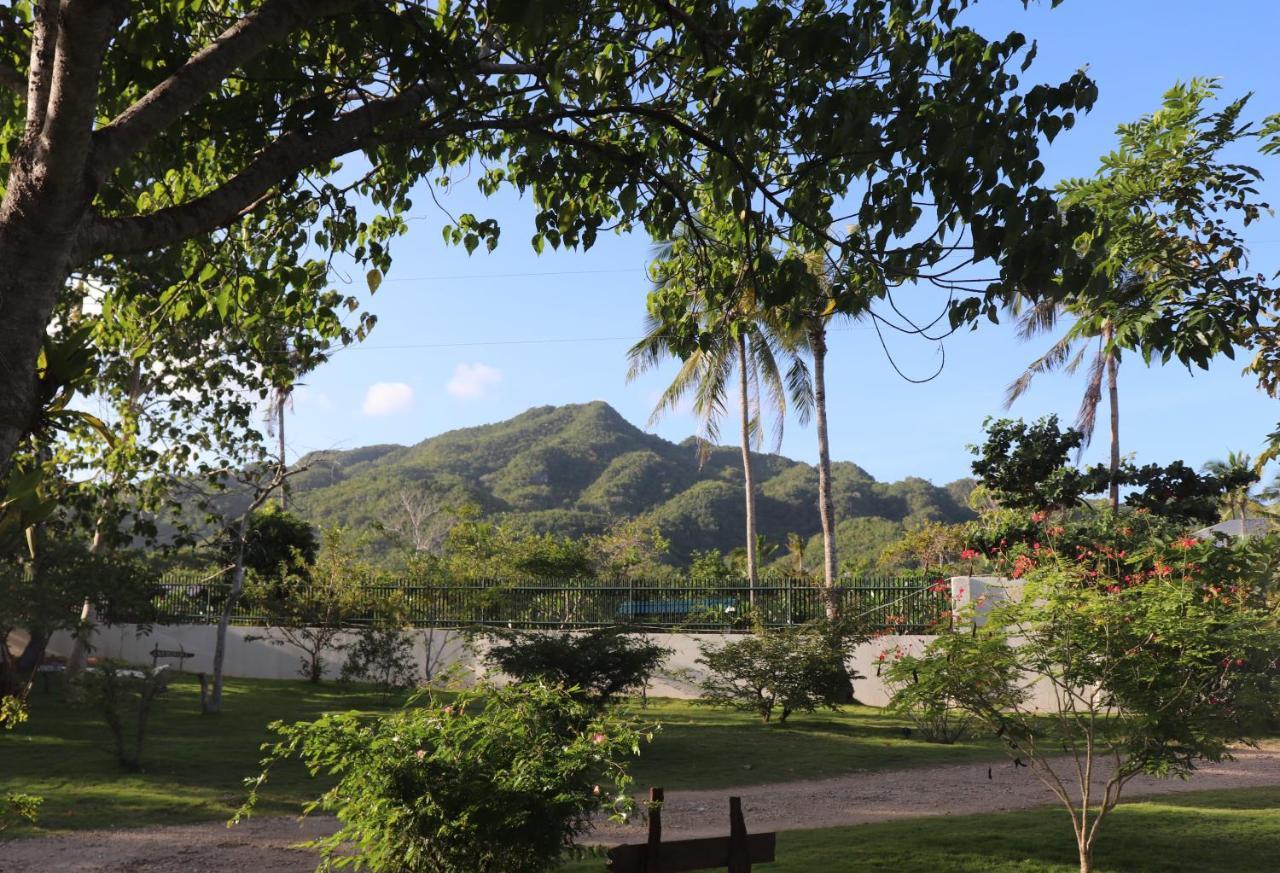 Island View Beachfront Resort Anda  Extérieur photo