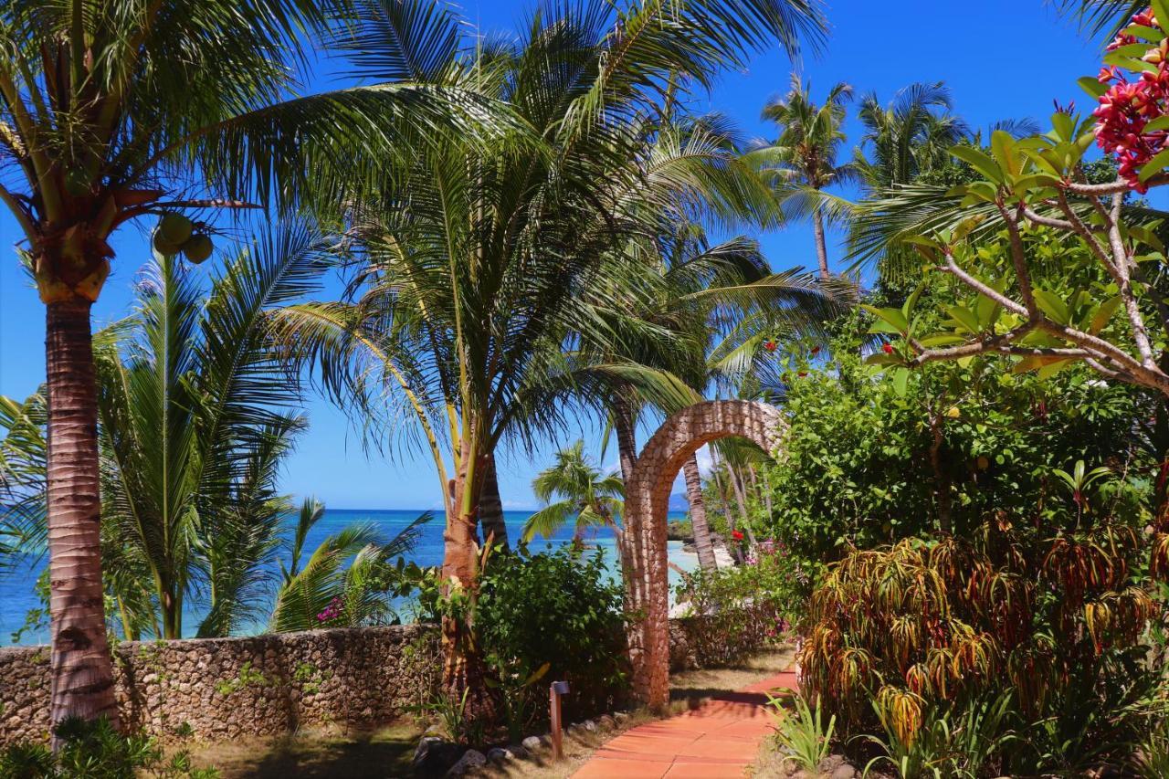 Island View Beachfront Resort Anda  Extérieur photo