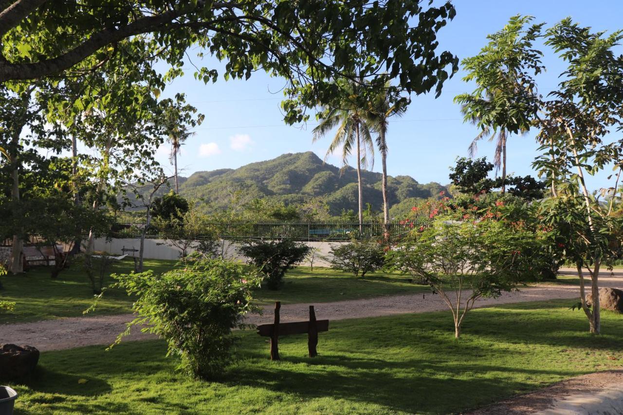 Island View Beachfront Resort Anda  Extérieur photo