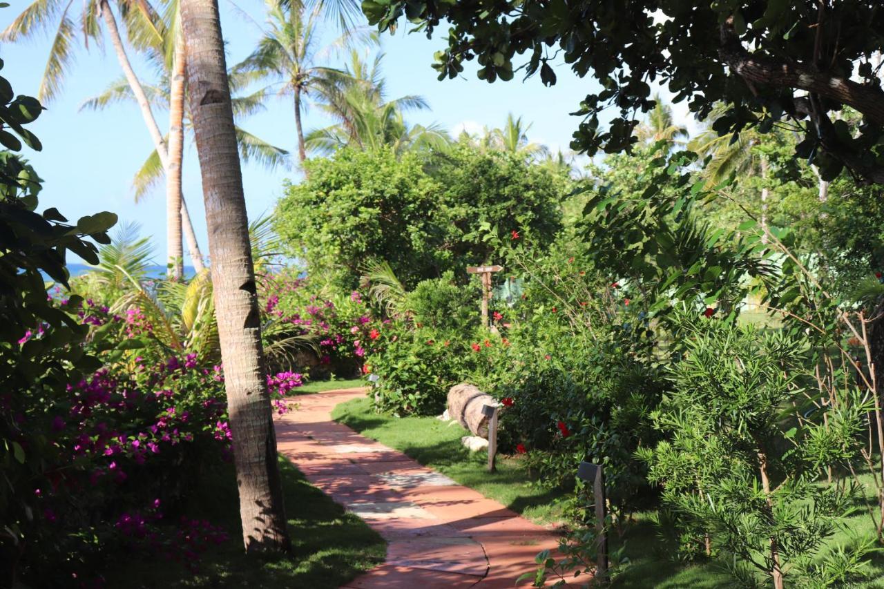 Island View Beachfront Resort Anda  Extérieur photo